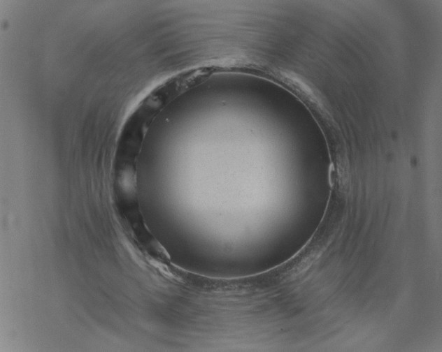 X0000077390532200611032004