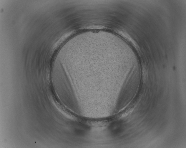 X0000077390533200611032004