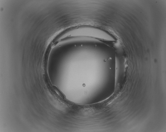 X0000077390536200611032004