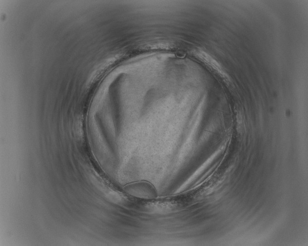 X0000077390537200611032004