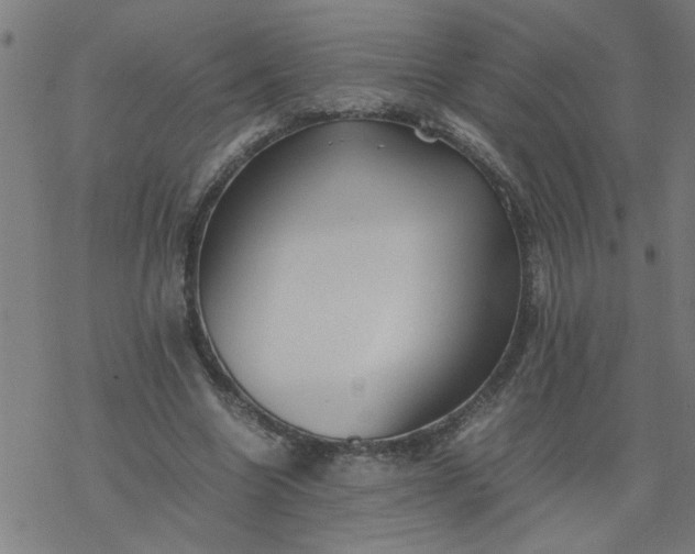 X0000077390538200611032004