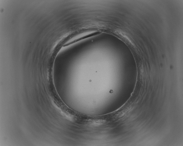 X0000077390539200611032004