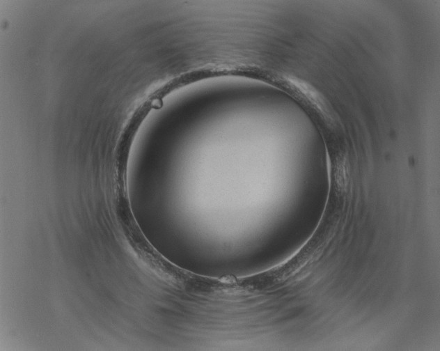 X0000077390540200611032004