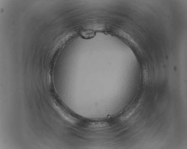 X0000077390541200611032004