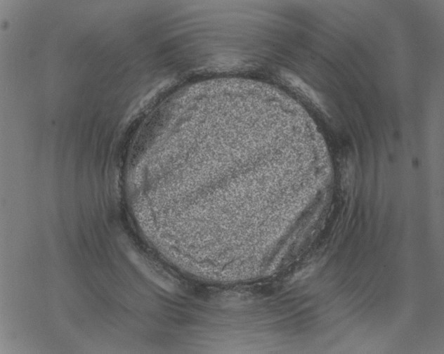 X0000077390542200611032004