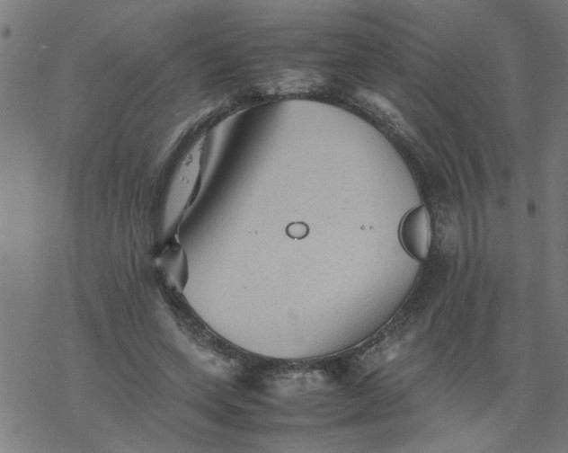 X0000077390543200611032004