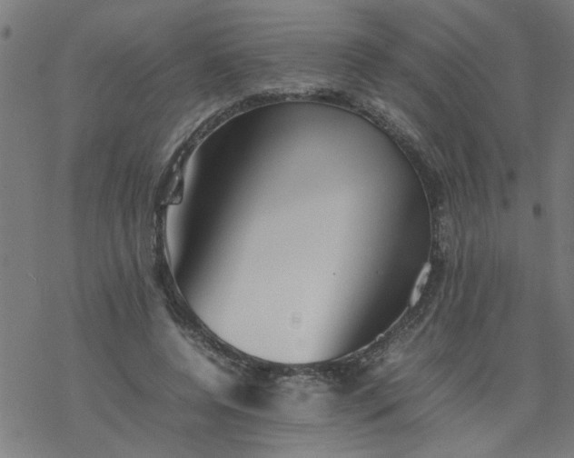 X0000077390544200611032004