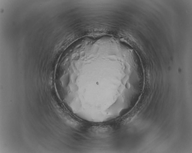 X0000077390545200611032004