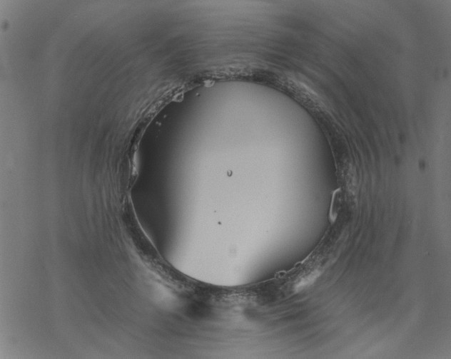 X0000077390546200611032004