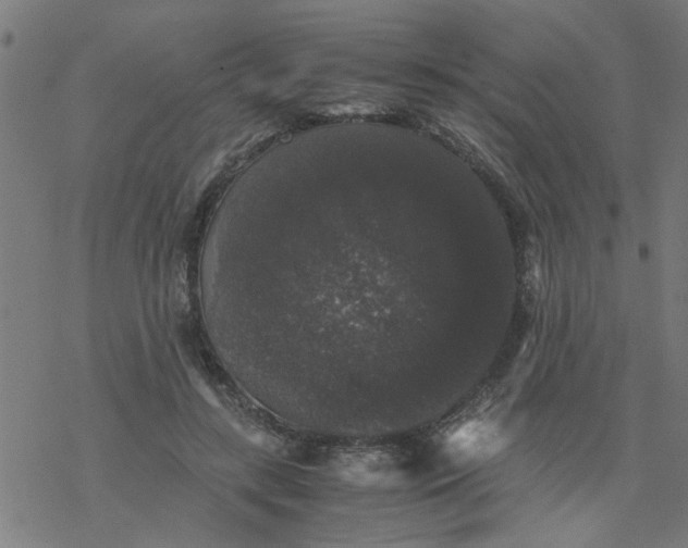 X0000077390547200611032004