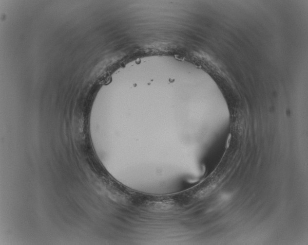 X0000077390548200611032004