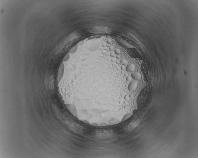 X0000077390549200611032004