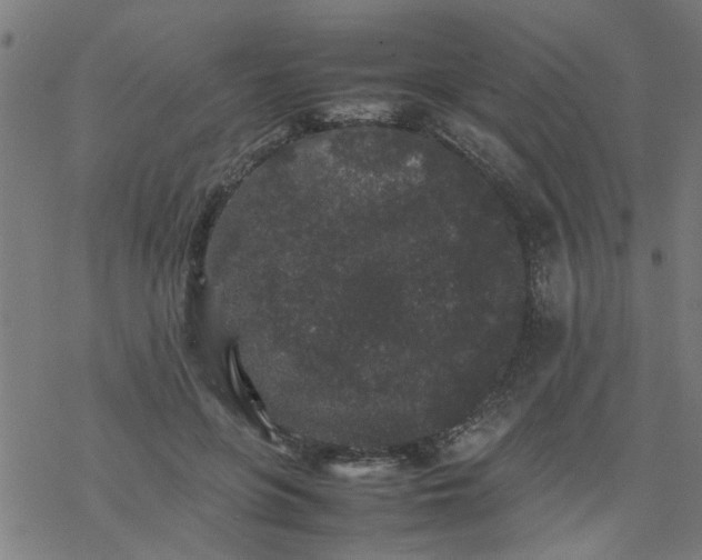 X0000077390551200611032004