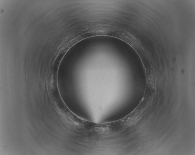 X0000077390552200611032004