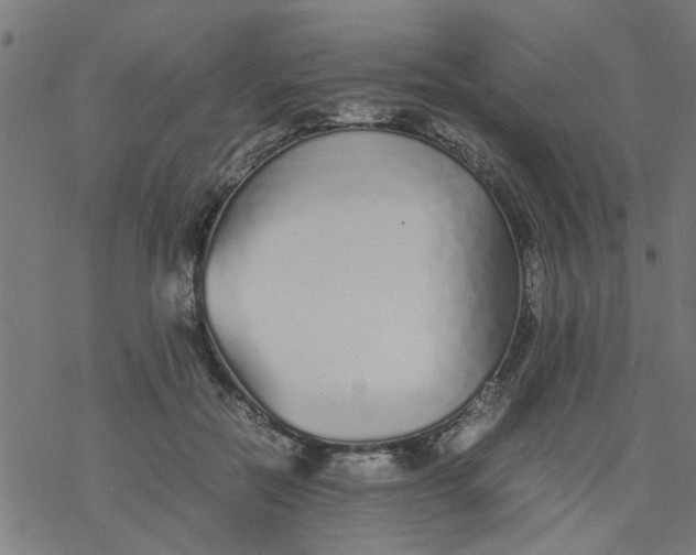 X0000077390554200611032004