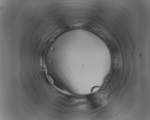 X0000077390555200611032004