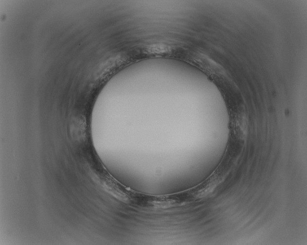 X0000077390556200611032004