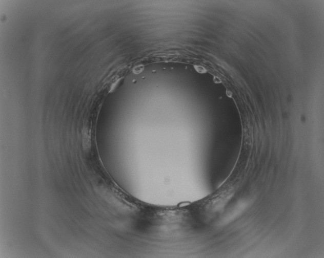 X0000077390558200611032004