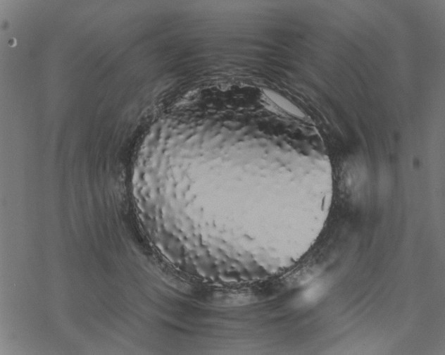 X0000077390559200611032004