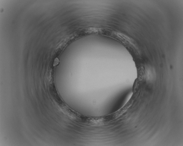 X0000077390560200611032004