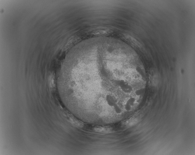 X0000077390561200611032004