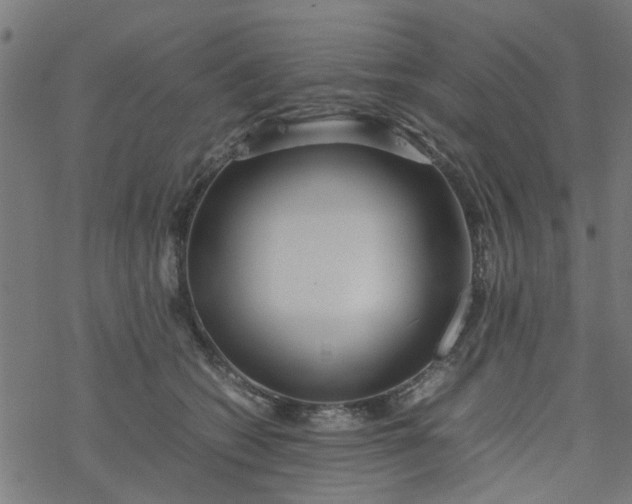 X0000077390562200611032004