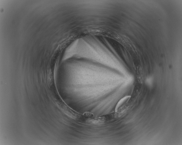 X0000077390563200611032004