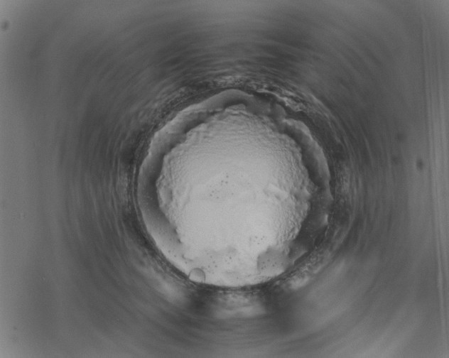 X0000077390565200611032004