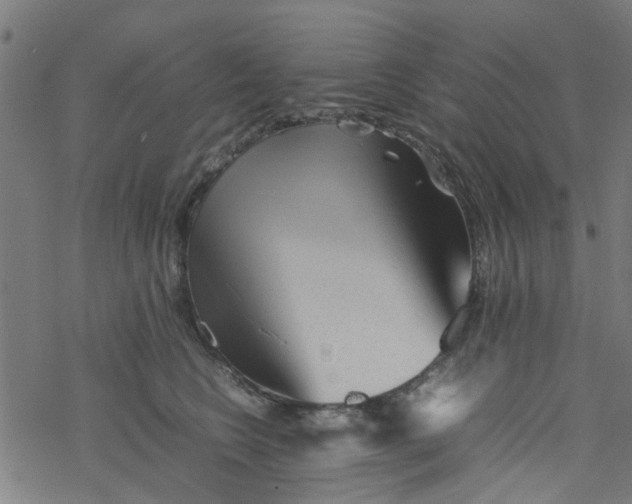 X0000077390566200611032004