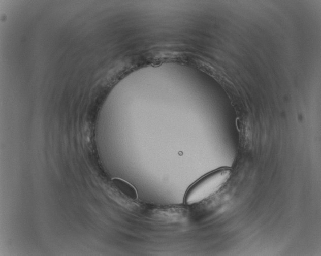 X0000077390567200611032004