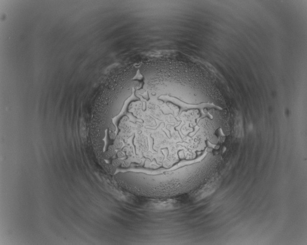 X0000077390569200611032004