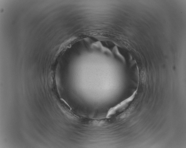 X0000077390570200611032004