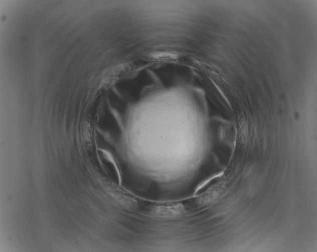 X0000077390571200611032004