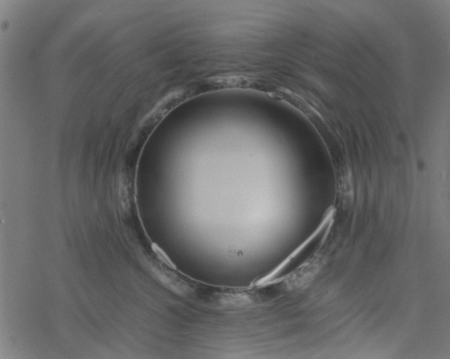 X0000077390572200611032004