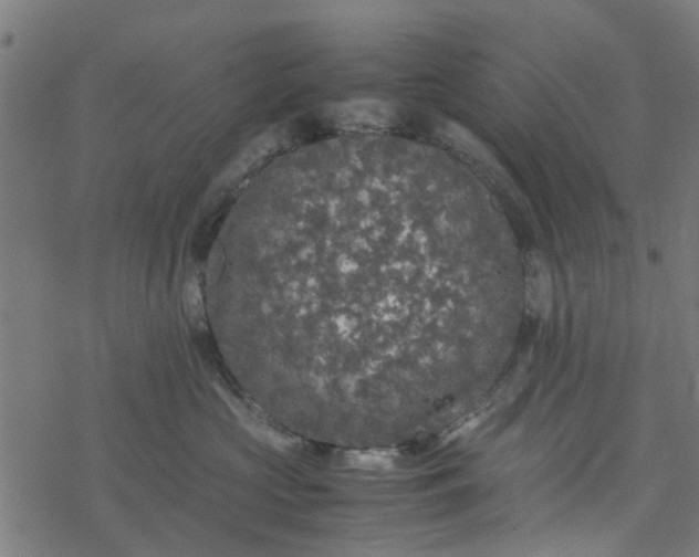 X0000077390573200611032004