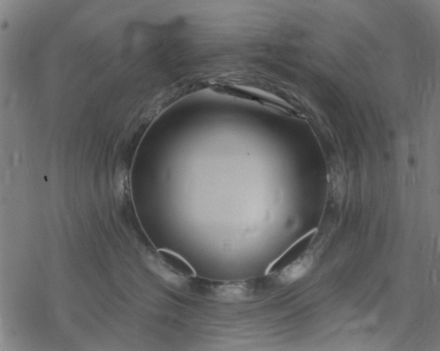 X0000077390574200611032004