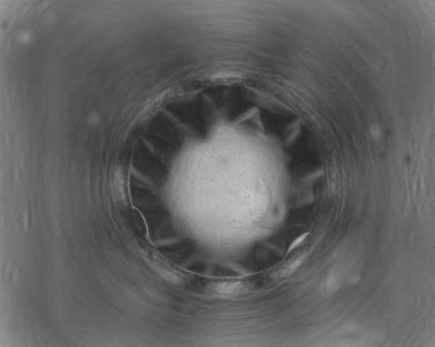 X0000077390575200611032004