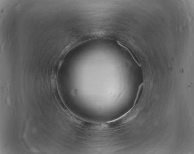 X0000077390576200611032004