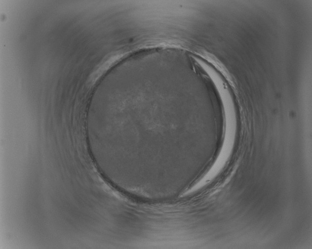 X0000077390577200611032004