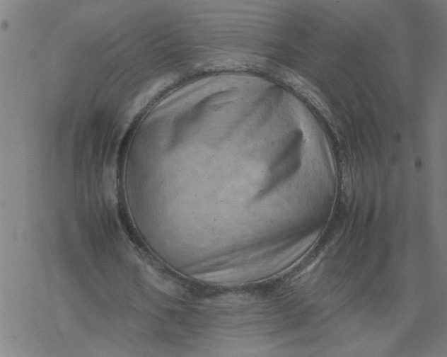 X0000077390578200611032004