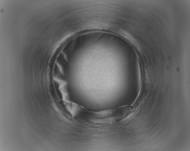 X0000077390580200611032004