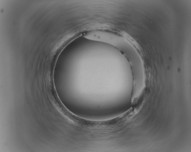 X0000077390581200611032004