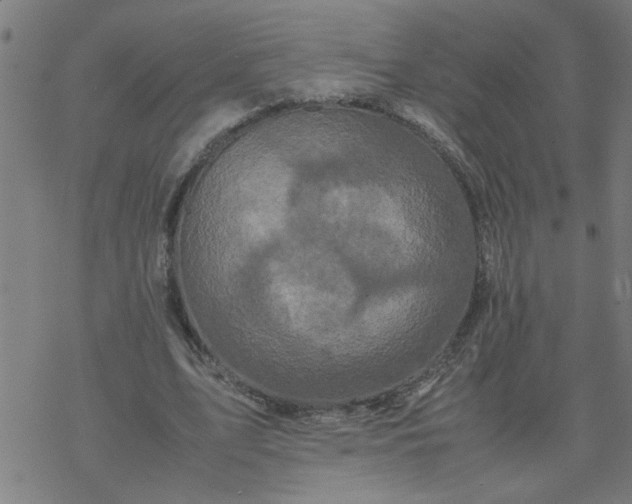 X0000077390583200611032004