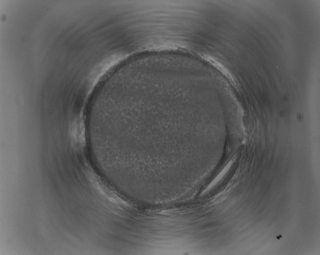 X0000077390584200611032004