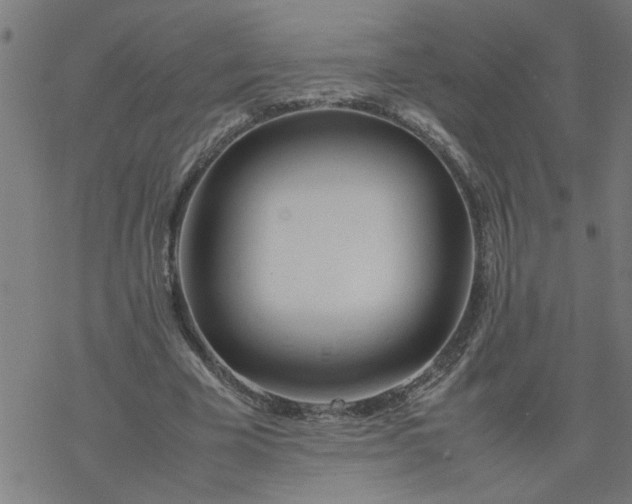 X0000077390585200611032003