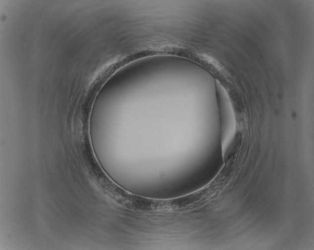 X0000077390587200611032003