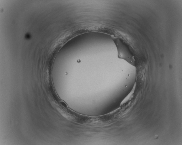 X0000077390589200611032003