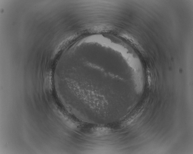 X0000077390590200611032003