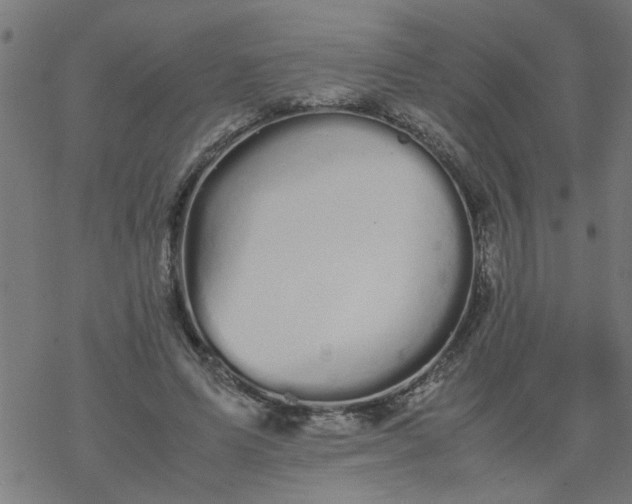 X0000077390591200611032003