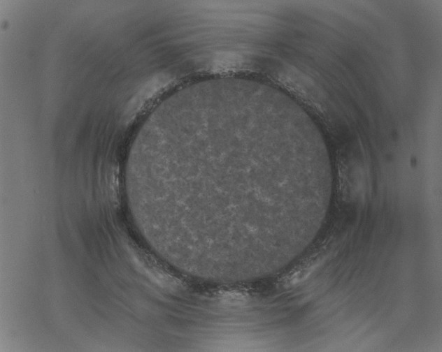 X0000077390592200611032003